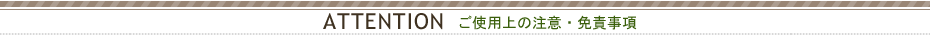 �g�p��̒��ӁE�Ɛӎ���